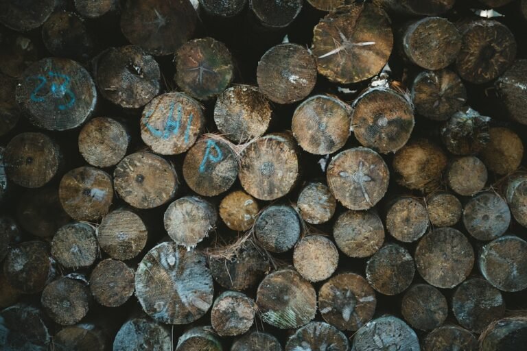 Photo Penny Stocks