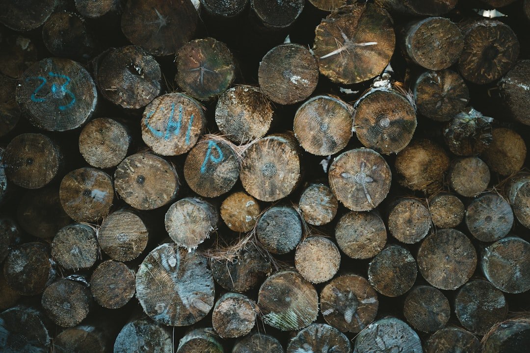 Photo Penny Stocks